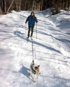 Lou Long Trail